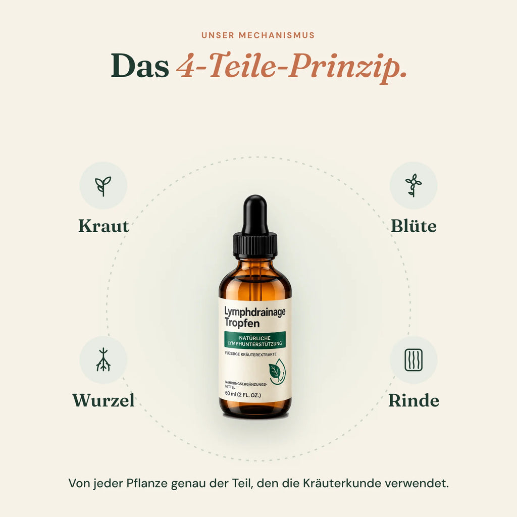 Das 4-Teile-Prinzip von Wiesenblatt: Kraut, Blüte, Wurzel und Rinde rund um die Flasche