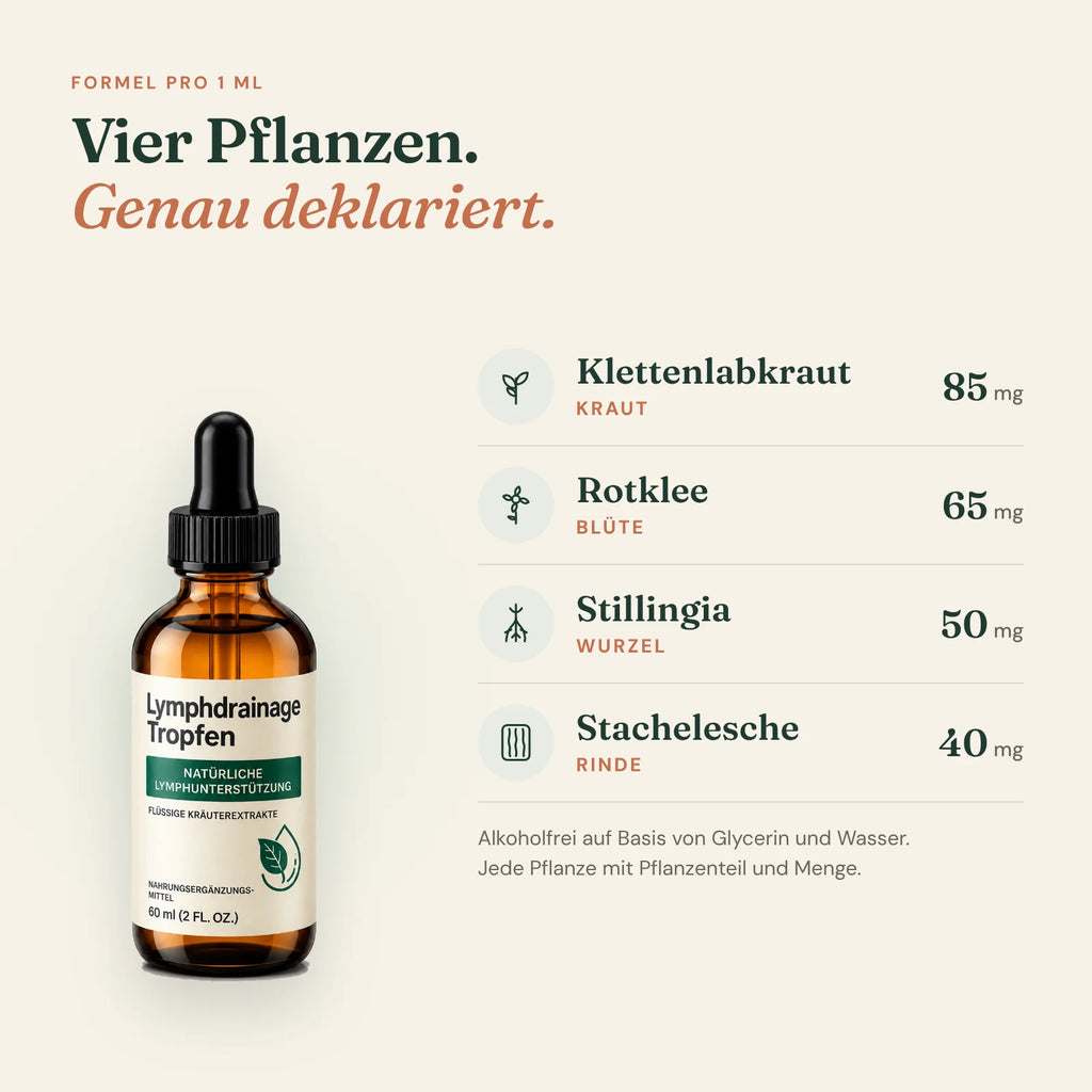 Formel pro 1 ml: Klettenlabkraut (Kraut) 85 mg, Rotklee (Blüte) 65 mg, Stillingia (Wurzel) 50 mg, Stachelesche (Rinde) 40 mg – alkoholfrei