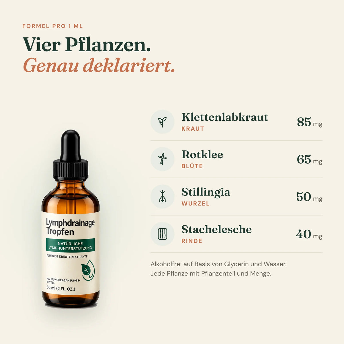 Formel pro 1 ml: Klettenlabkraut (Kraut) 85 mg, Rotklee (Blüte) 65 mg, Stillingia (Wurzel) 50 mg, Stachelesche (Rinde) 40 mg – alkoholfrei